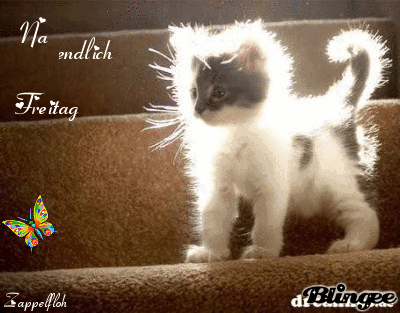 Https Encrypted Tbn0 Gstatic Com Images Q Tbn 3aand9gcthvxeixtzcosu7aarutk3k M1cmw9wujkcfq Usqp Cau