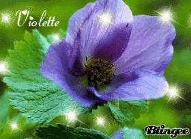 Violette