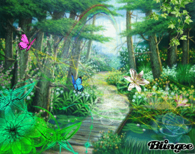 rainforest picture 92537446 blingee com animated rain forest