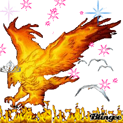 Comentarios sobre perfil