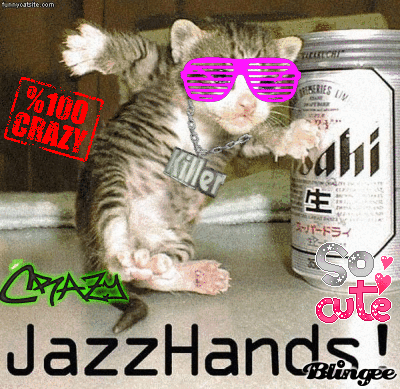 jazz hands cat