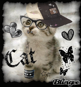 Cat Emo