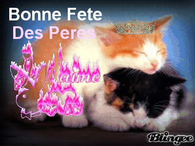 belgique fete des meres