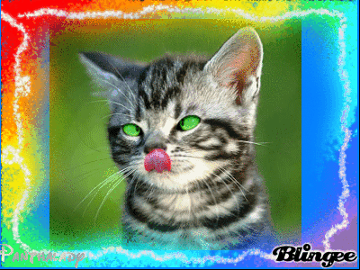 47+ Katzen Gif Winken Lustig Images