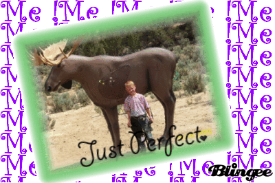 kasen and moose