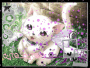 isn`t it cute=)=)??!