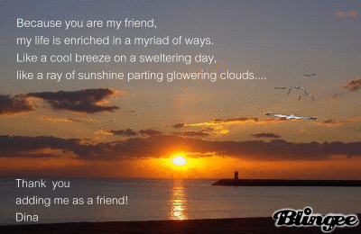 Friendship