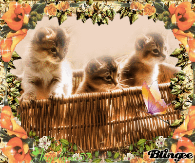 cadeau pour tata (quiquine56) gros bisous