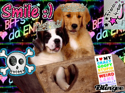 bff puppies bff 4 puppies picture 94433829 blingee bff puppies bff 4 puppies picture 94433829 blingee