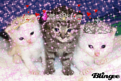 Immagine Gattini Glitterati 94736971 Blingee Com