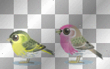 anime birds transparent bird deco