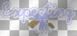 expecting expecting