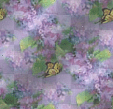 BUTTERFLIES,PURPLE,FLOWERS,BACKGROUND,BG/TFM448