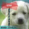 Stop Animal Cruelty