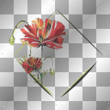 deco poppy frame