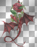 rosen drache
