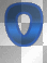 shiney blue o