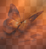 Orange Glowing Butterfly Background