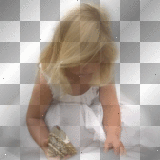 ☺©Looking For Shells®☺ ☺©Looking For Shells®☺