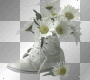 fleurs