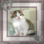 LITTLE   LUNA
