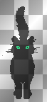 gato negro dragon rojo
