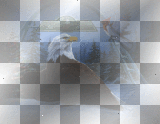 Christmas Eagle