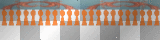 Tp - Orange Border