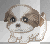 little dog