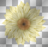 ☺©Yellow Flower®☺