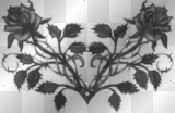 Black Rose