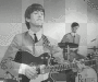Georgie and ringo