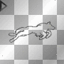 wolf running
