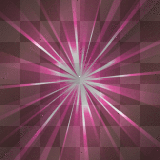 SYLWEK YEAR 2010 BACKGROUND 