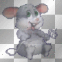 souris
