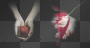 new moon