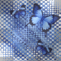 Butterfly Background Stamp~Made By Newfiebeauty 