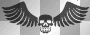 Tp - black wing skull