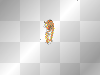 tiger läuft