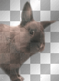 WIELKANOC EASTER TRANSPARENT ANIMAL