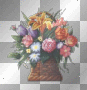blume