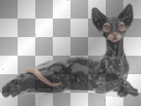 http://image.blingee.com/images17/content/output/000/000/000/041/609157008_420145.gif?4