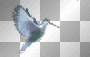 WIOSNA SPRING  SUMMER ANIMATED BIRD BLUE