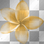 Deco Hawaiian-dream-flower~Orange