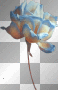 Bluetipped Rose Bluetipped Rose