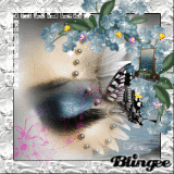dreamin'  butterflies