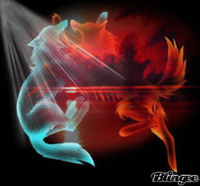 Fire and Ice Wolf Picture #95258824 | Blingee.com