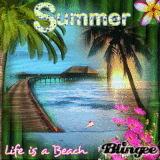BLINGEE.COM GRATIS BLINGEE.COM GRATIS