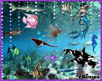 fantasy aquarium