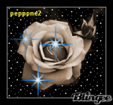 ros bianca ros bianca